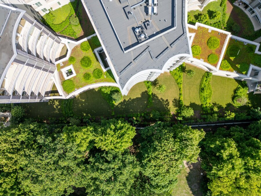 Perfumiarnia w Parku Wilsona