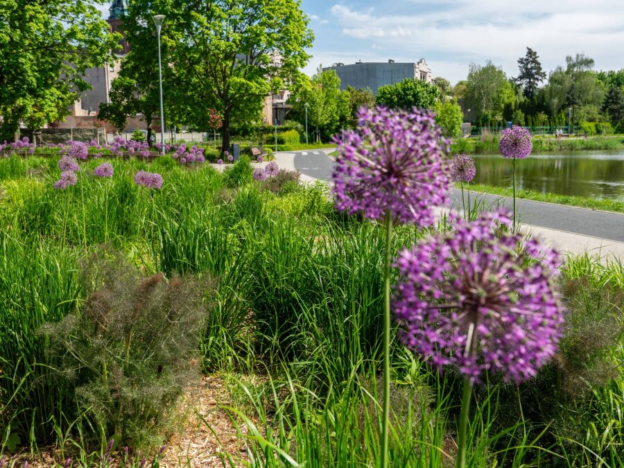 Park Piastowski w Gnieźnie (Jezioro Jelonek)